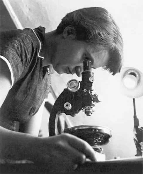 Portrait of Rosalind Franklin